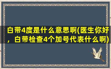 白带4度是什么意思啊(医生你好，白带检查4个加号代表什么啊)