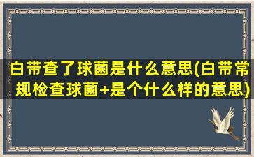 白带查了球菌是什么意思(白带常规检查球菌+是个什么样的意思)