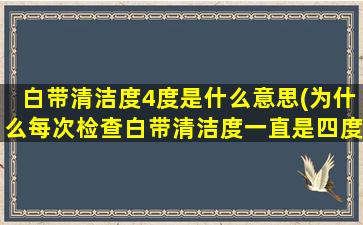 白带清洁度4度是什么意思(为什么每次检查白带清洁度一直是四度)