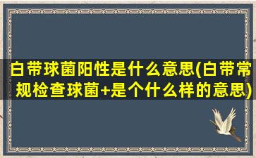 白带球菌阳性是什么意思(白带常规检查球菌+是个什么样的意思)