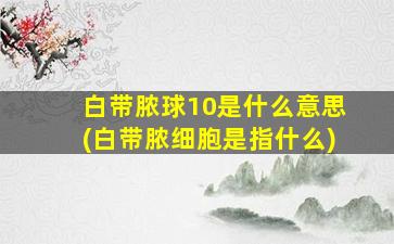 白带脓球10是什么意思(白带脓细胞是指什么)