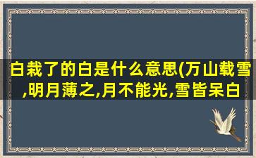 白栽了的白是什么意思(万山载雪,明月薄之,月不能光,雪皆呆白.是什么意思)