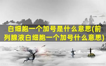 白细胞一个加号是什么意思(前列腺液白细胞一个加号什么意思)