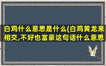 白鸡什么意思是什么(白鸡黄龙来相交,不好也富豪这句话什么意思)