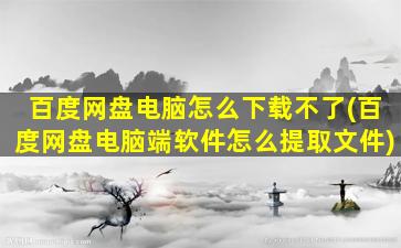 百度网盘电脑怎么下载不了(百度网盘电脑端软件怎么提取文件)