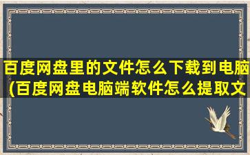 百度网盘里的文件怎么下载到电脑(百度网盘电脑端软件怎么提取文件)