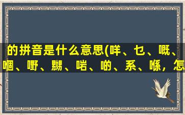 的拼音是什么意思(咩、乜、嘅、嗰、嘢、嬲、啱、啲、系、喺，怎么念，是什么意思)