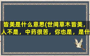 皆美是什么意思(世间草木皆美，人不是，中药很苦，你也是，是什么意思)