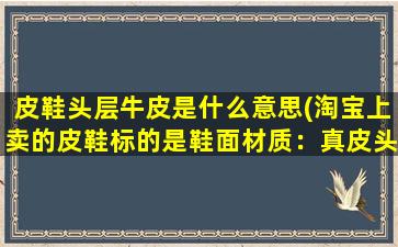 皮鞋头层牛皮是什么意思(淘宝上卖的皮鞋标的是鞋面材质：真皮头层皮请问什么叫真皮头层皮)