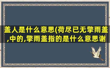 盖人是什么意思(荷尽已无擎雨盖,中的,擎雨盖指的是什么意思谢谢)