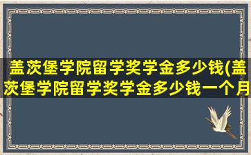 盖茨堡学院留学奖学金多少钱(盖茨堡学院留学奖学金多少钱一个月)