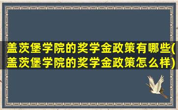 盖茨堡学院的奖学金政策有哪些(盖茨堡学院的奖学金政策怎么样)