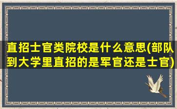 直招士官类院校是什么意思(部队到大学里直招的是军官还是士官)