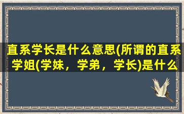 直系学长是什么意思(所谓的直系学姐(学妹，学弟，学长)是什么意思请详细解释一下啊)