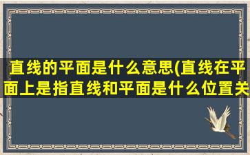 直线的平面是什么意思(直线在平面上是指直线和平面是什么位置关系)