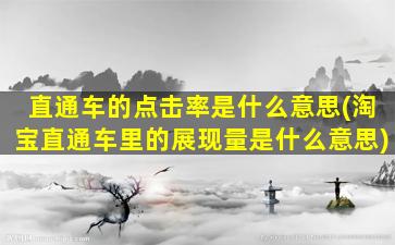 直通车的点击率是什么意思(淘宝直通车里的展现量是什么意思)