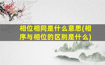 相位相同是什么意思(相序与相位的区别是什么)