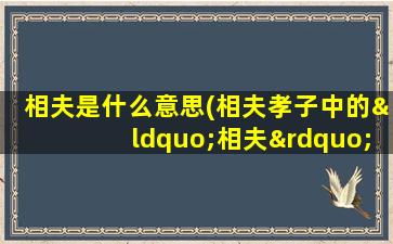 相夫是什么意思(相夫孝子中的“相夫”是什么意思)