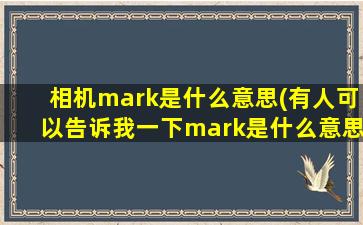 相机mark是什么意思(有人可以告诉我一下mark是什么意思吗)