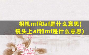 相机mf和af是什么意思(镜头上af和mf是什么意思)