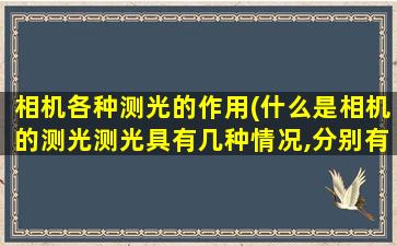 相机各种测光的作用(什么是相机的测光测光具有几种情况,分别有什么功能)