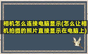 相机怎么连接电脑显示(怎么让相机拍摄的照片直接显示在电脑上)