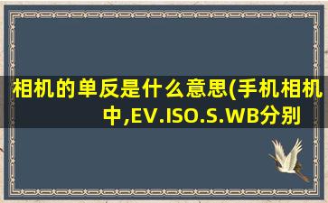 相机的单反是什么意思(手机相机中,EV.ISO.S.WB分别代表什么意思)