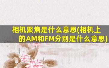 相机聚焦是什么意思(相机上的AM和FM分别是什么意思)