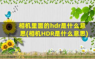 相机里面的hdr是什么意思(相机HDR是什么意思)