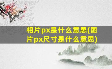 相片px是什么意思(图片px尺寸是什么意思)