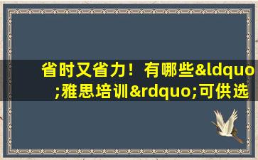 省时又省力！有哪些“雅思培训”可供选择？