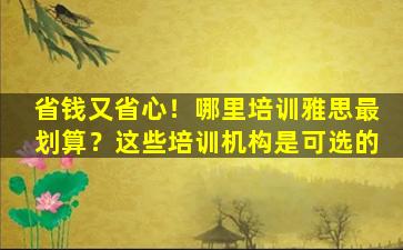 省钱又省心！哪里培训雅思最划算？这些培训机构是可选的