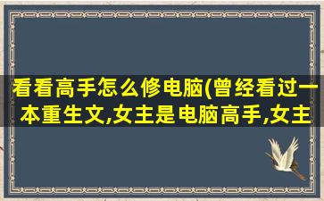 看看高手怎么修电脑(曾经看过一本重生文,女主是电脑高手,女主叫初夏求书名)