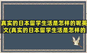 真实的日本留学生活是怎样的呢英文(真实的日本留学生活是怎样的呢视频)