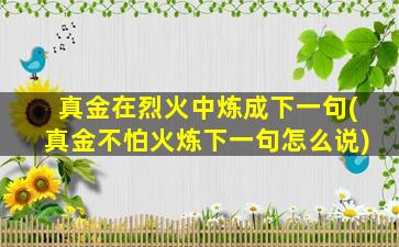 真金在烈火中炼成下一句(真金不怕火炼下一句怎么说)