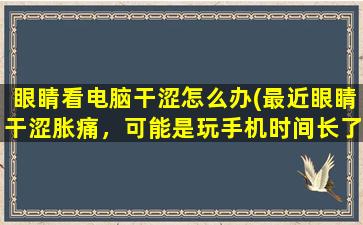 眼睛看电脑干涩怎么办(最近眼睛干涩胀痛，可能是玩手机时间长了。请问用什么滴眼液好)