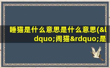 睡猫是什么意思是什么意思(“闹猫”是什么意思呐)