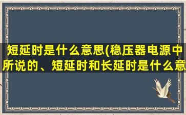 短延时是什么意思(稳压器电源中所说的、短延时和长延时是什么意思)