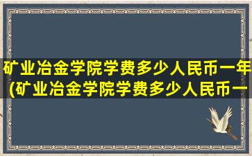 矿业冶金学院学费多少人民币一年(矿业冶金学院学费多少人民币一个月)