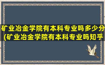 矿业冶金学院有本科专业吗多少分(矿业冶金学院有本科专业吗知乎)