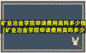 矿业冶金学院申请费用高吗多少钱(矿业冶金学院申请费用高吗多少)