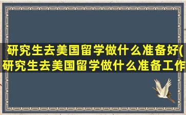 研究生去美国留学做什么准备好(研究生去美国留学做什么准备工作好)