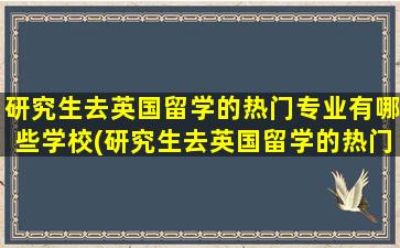 研究生去英国留学的热门专业有哪些学校(研究生去英国留学的热门专业有哪些好)