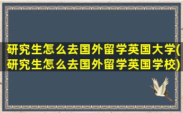 研究生怎么去国外留学英国大学(研究生怎么去国外留学英国学校)