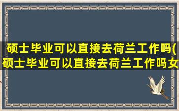 硕士毕业可以直接去荷兰工作吗(硕士毕业可以直接去荷兰工作吗女生)