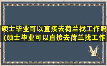 硕士毕业可以直接去荷兰找工作吗(硕士毕业可以直接去荷兰找工作吗女生)