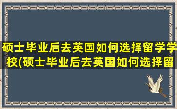 硕士毕业后去英国如何选择留学学校(硕士毕业后去英国如何选择留学专业)