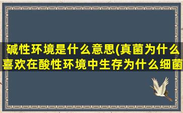 碱性环境是什么意思(真菌为什么喜欢在酸性环境中生存为什么细菌喜欢在碱性的环境中生存)