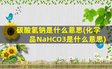 碳酸氢钠是什么意思(化学品NaHCO3是什么意思)