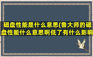 磁盘性能是什么意思(鲁大师的磁盘性能什么意思啊低了有什么影响)